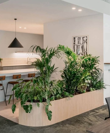 kitchen area bay planters