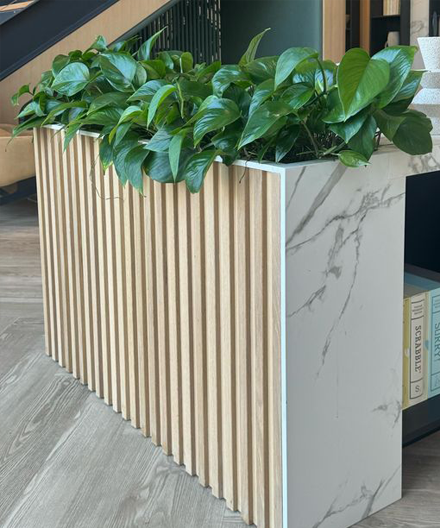 planter bay