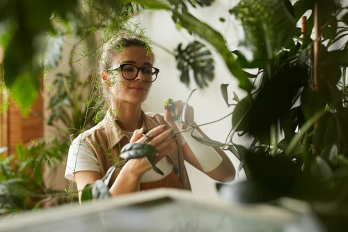technician caring and looking after for plants
