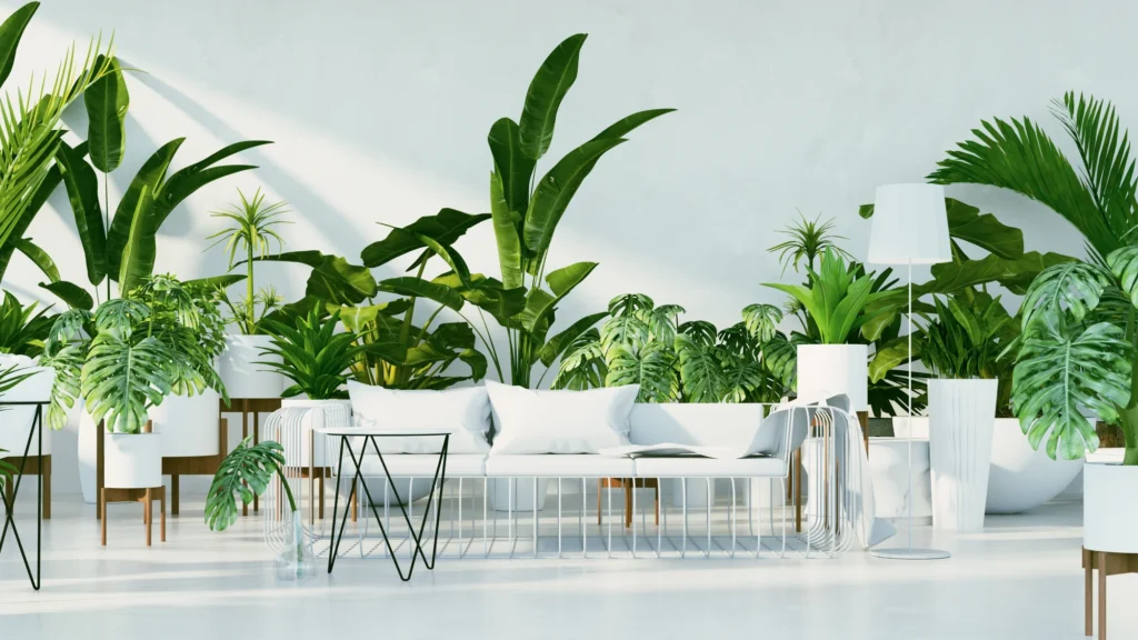 tropical design room tropical design room