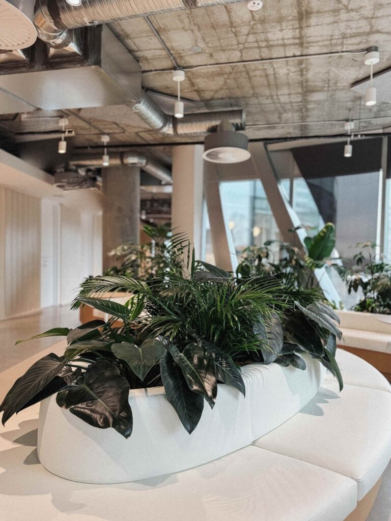 indoor+plant+design+melb indoor+plant+design+melb