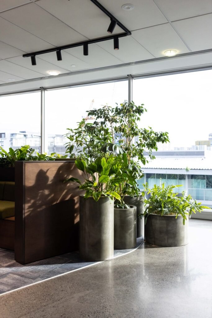 office pots 2 office pots 2
